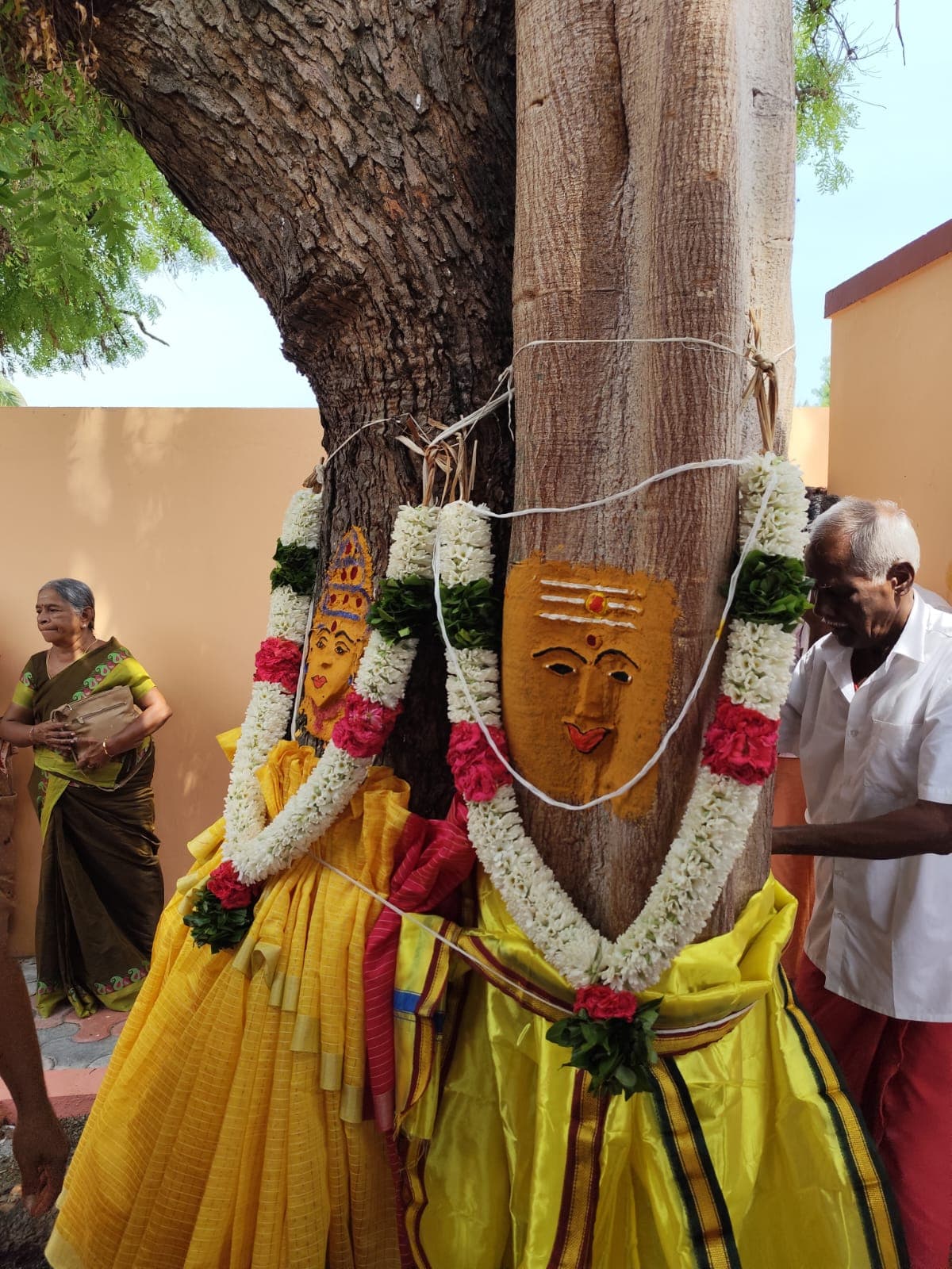 I attended a wedding between 2 trees